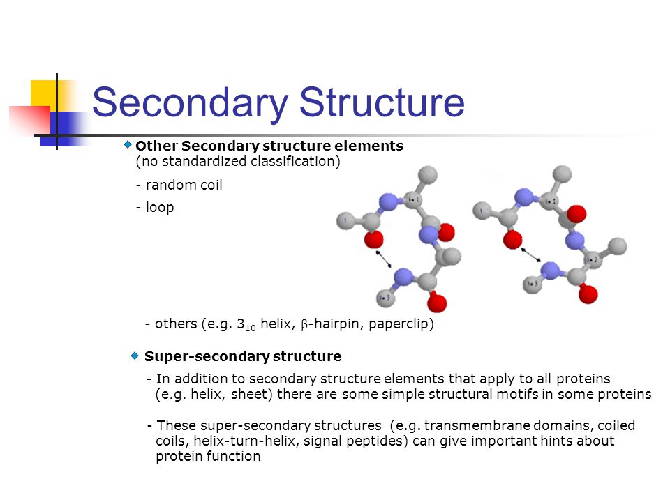 super secondary structure of protein ppt