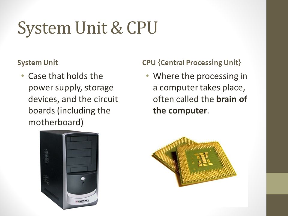 System Unit & CPU System Unit. CPU {Central Processing Unit}