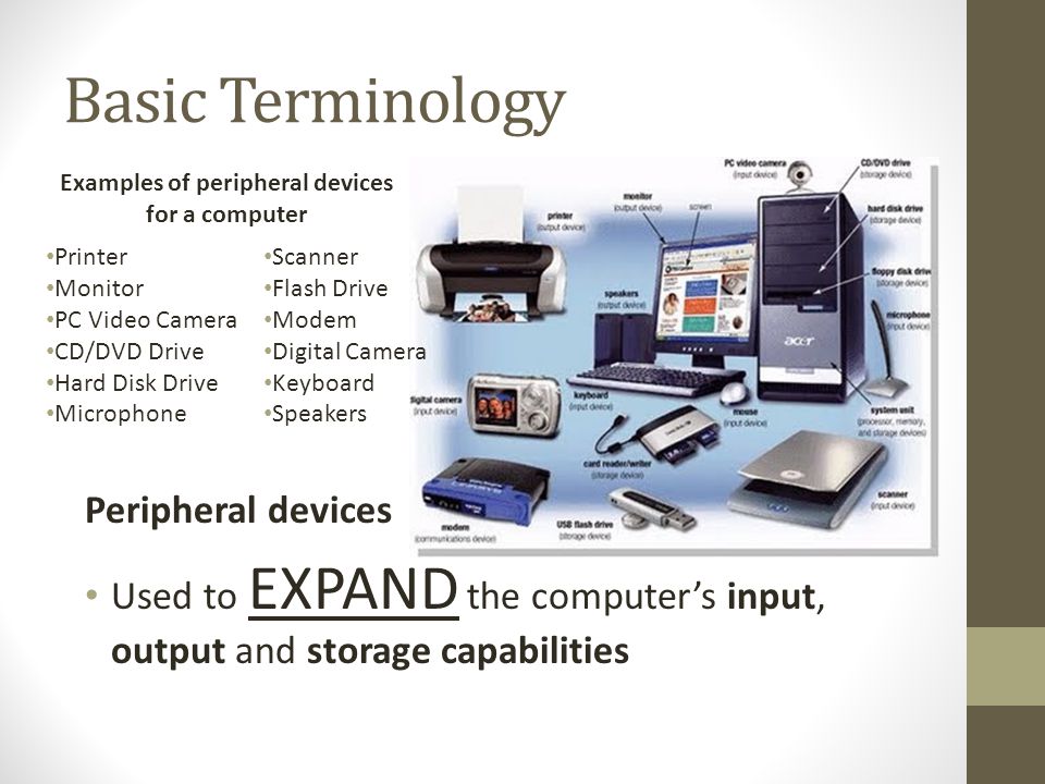 Examples of peripheral devices for a computer