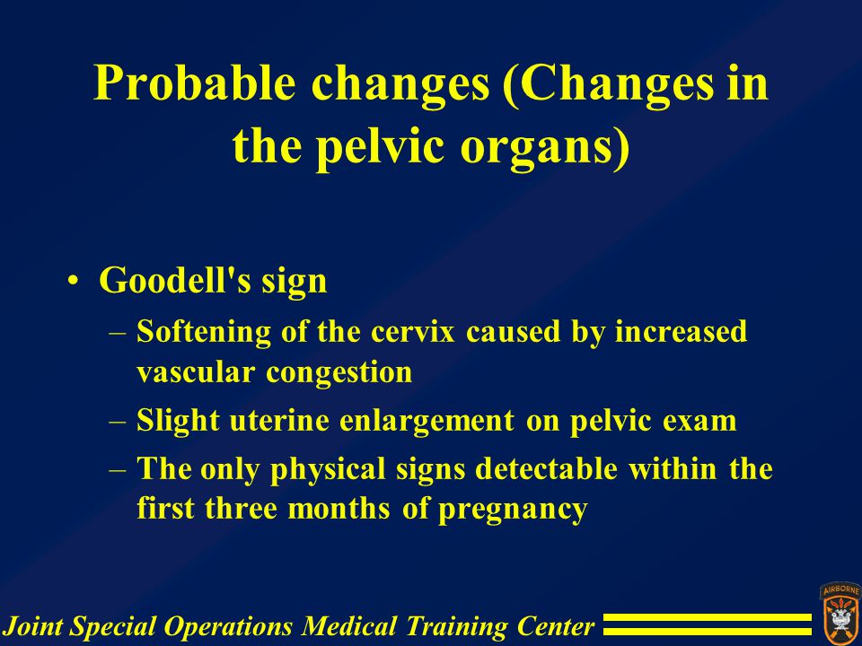 Probable changes (Changes in the pelvic organs)