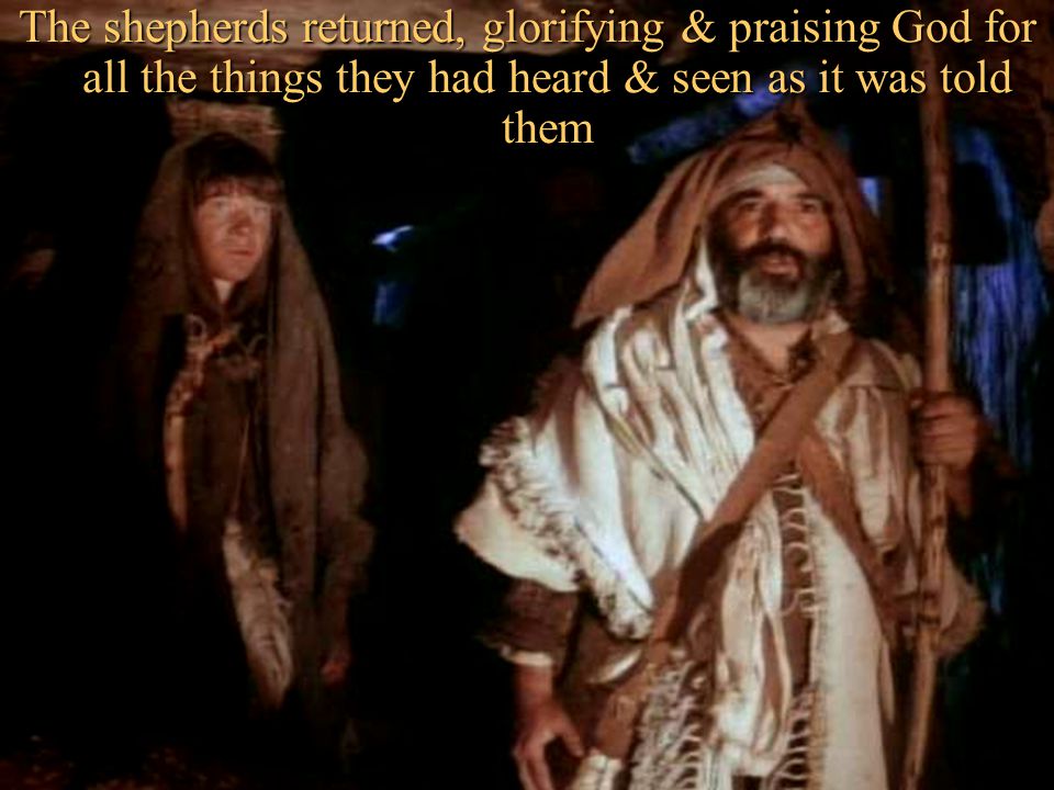 The shepherds returned, glorifying & praising God for all the things they had heard & seen as it was told them