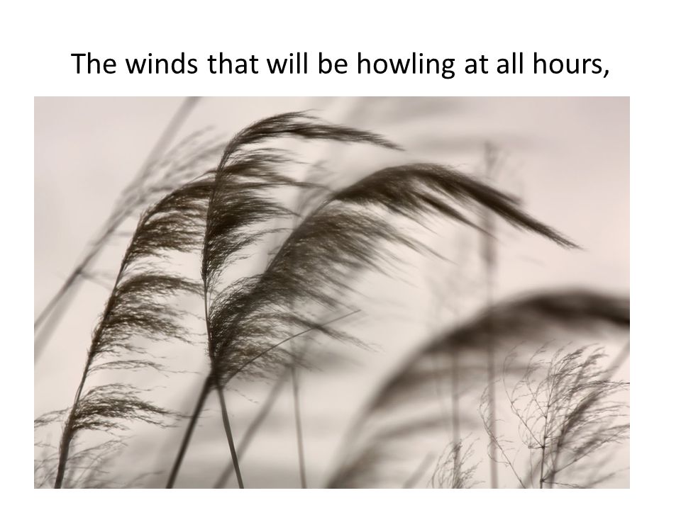 The winds that will be howling at all hours,