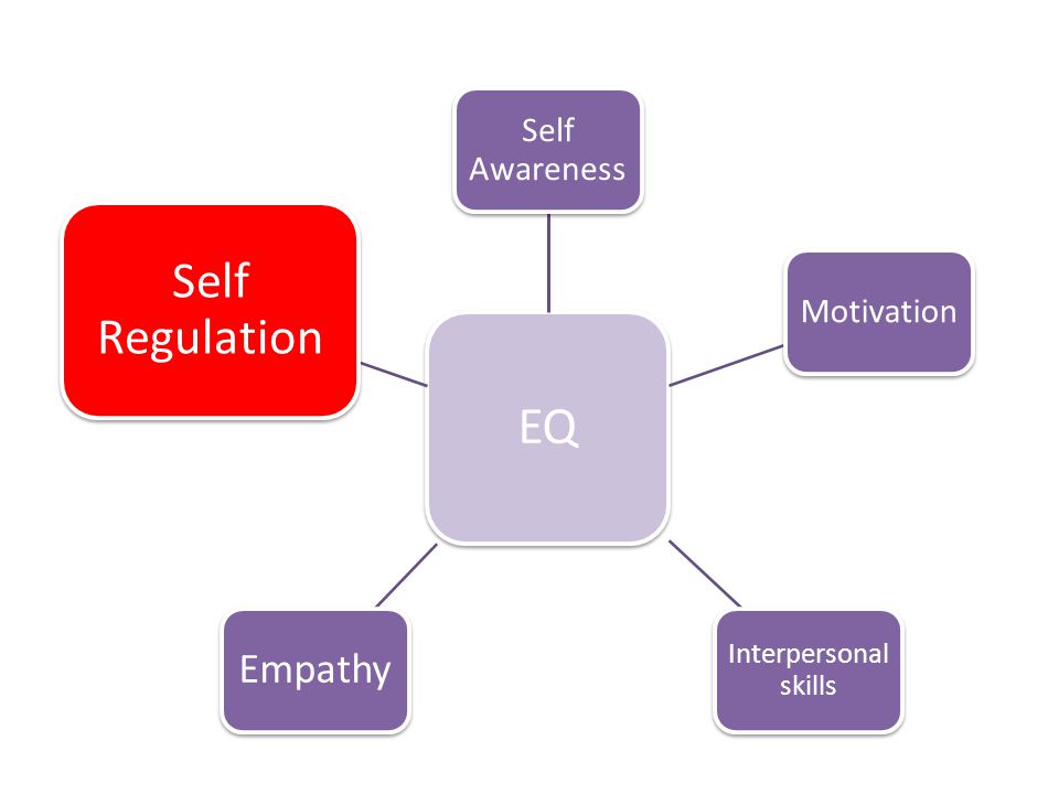 EQ Self Regulation Empathy Self Awareness Motivation