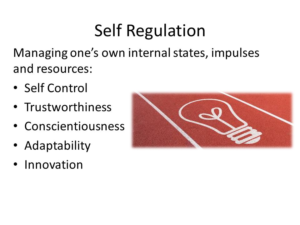 Self Regulation Managing one’s own internal states, impulses and resources: Self Control. Trustworthiness.