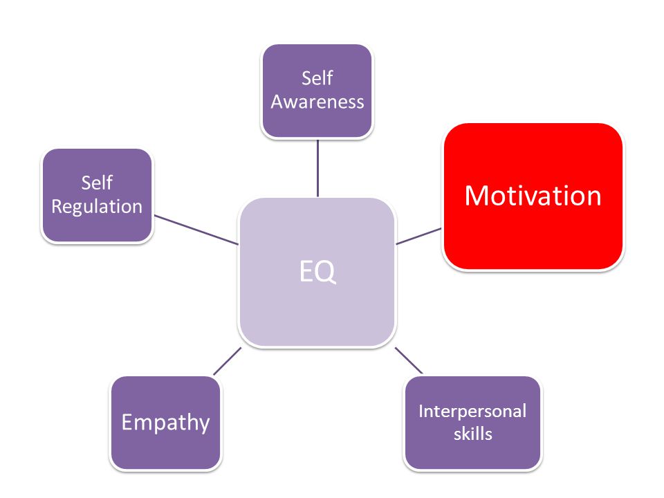 EQ Motivation Empathy Self Awareness Self Regulation