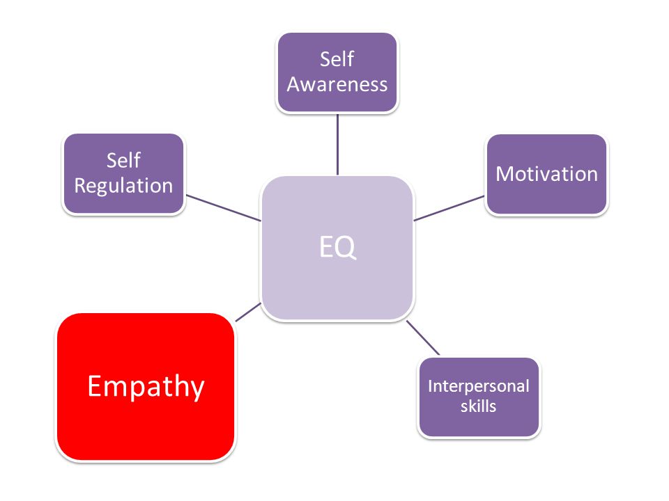 EQ Empathy Self Awareness Self Regulation Motivation