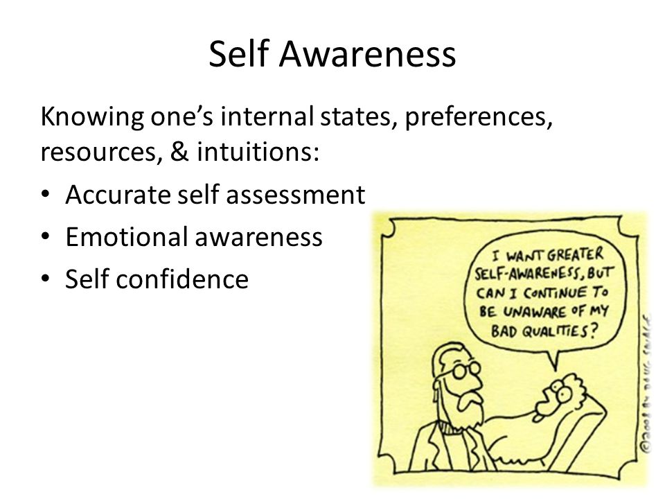Self Awareness Knowing one’s internal states, preferences, resources, & intuitions: Accurate self assessment.
