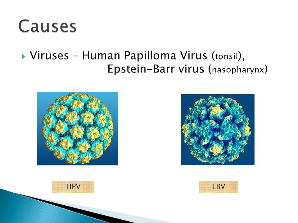 hpv vakcina és epstein barr vírus)