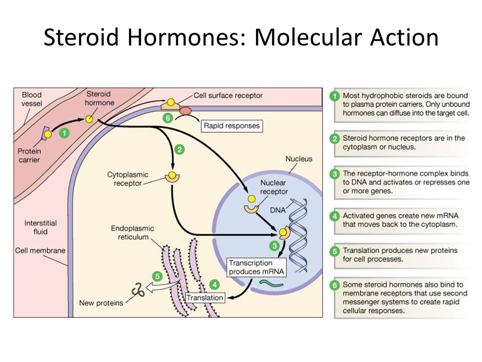 molecular plant microbe interactions