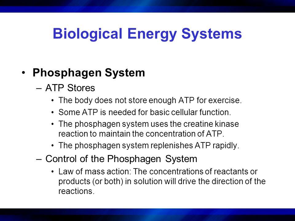 Bioenergetics Of Exercise And Training Ppt Download