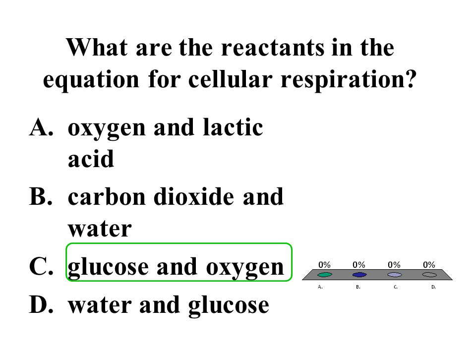 Biology Ch 9 Review Ppt Video Online Download
