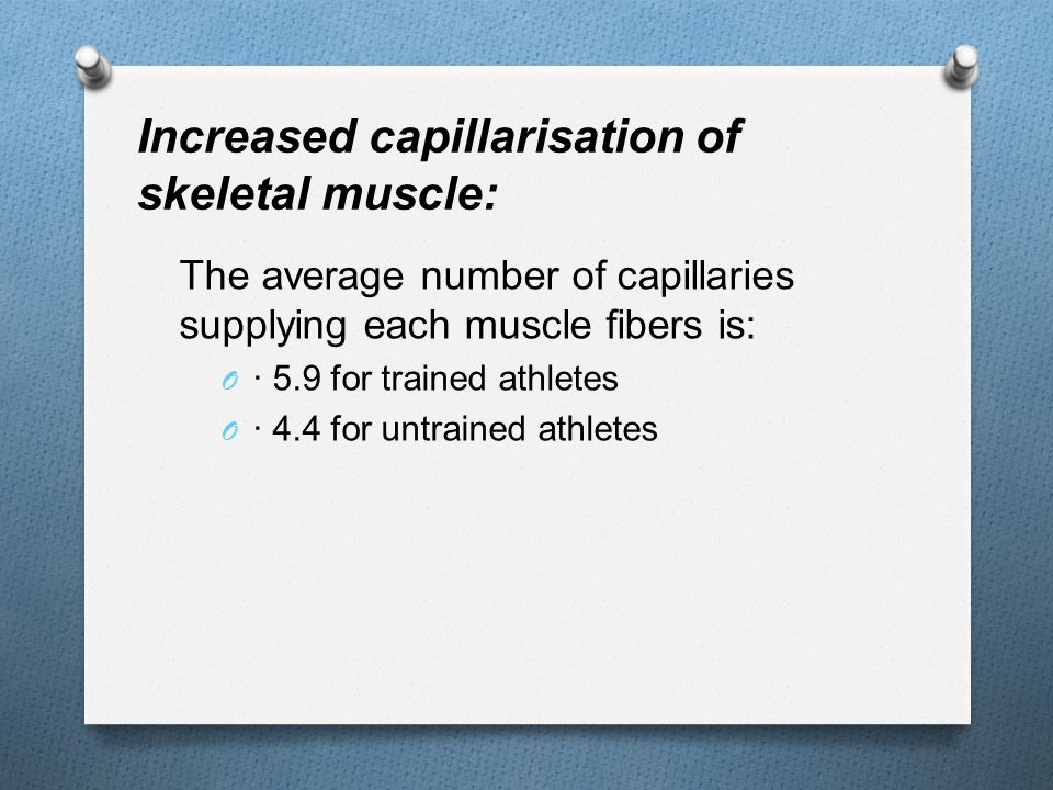 Increased capillarisation of skeletal muscle: