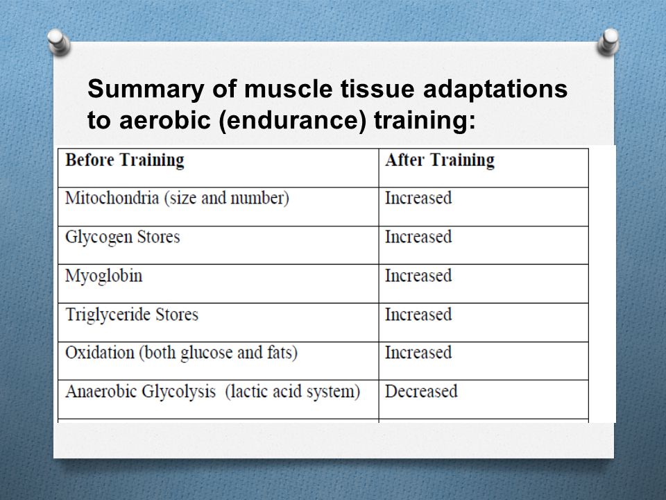 Summary of muscle tissue adaptations to aerobic (endurance) training: