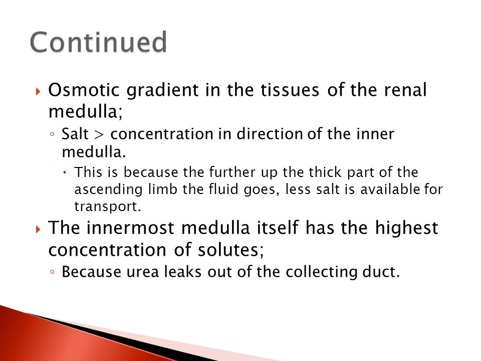 Continued Osmotic gradient in the tissues of the renal medulla;