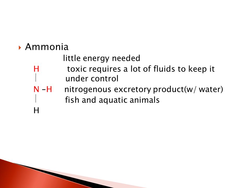 Ammonia little energy needed