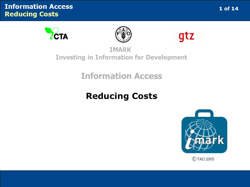 Investing in Information for Development