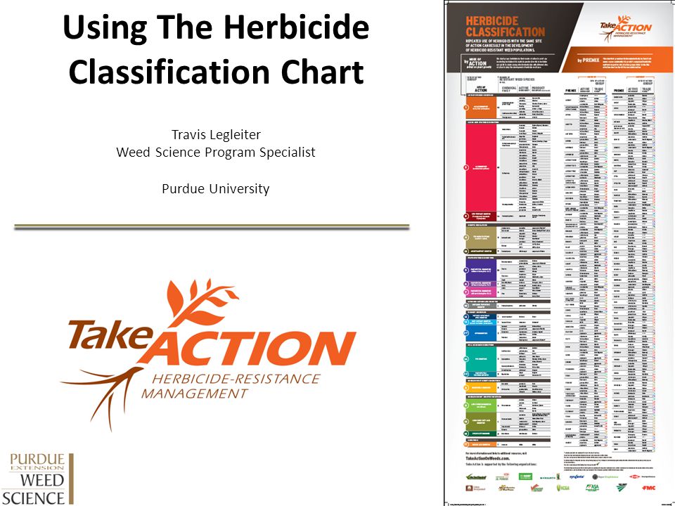 Take Action Herbicide Classification Chart