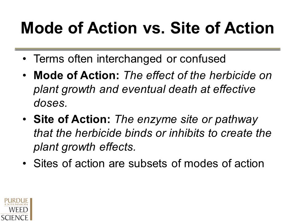 Take Action Herbicide Classification Chart