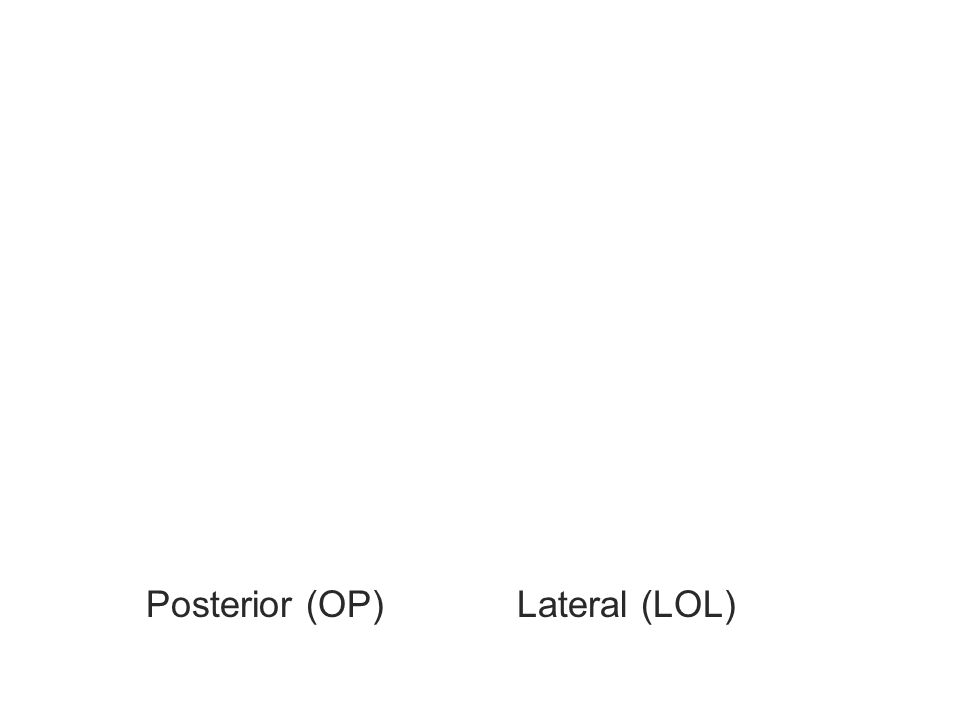 Posterior (OP) Lateral (LOL)