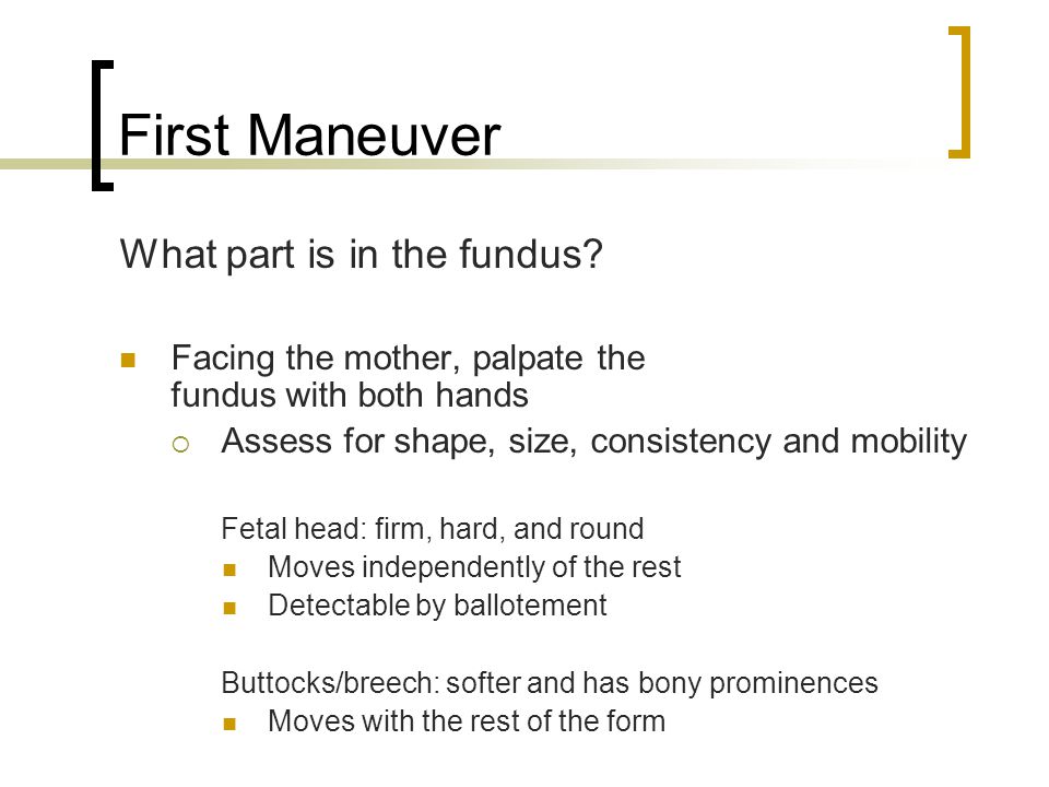 First Maneuver What part is in the fundus