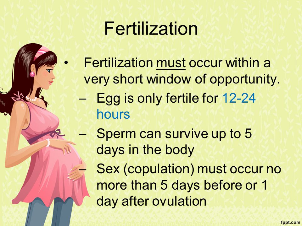 Fertilization. 
