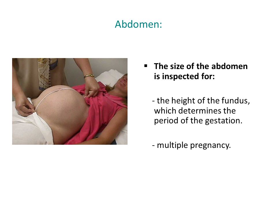 Abdomen: The size of the abdomen is inspected for: