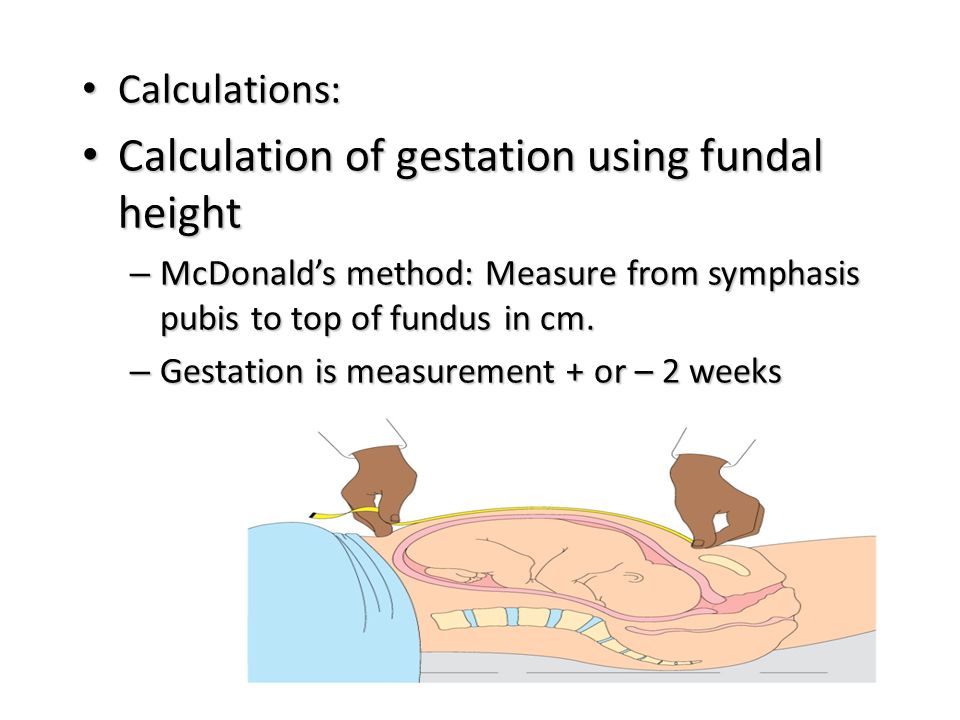 Calculation of gestation using fundal height