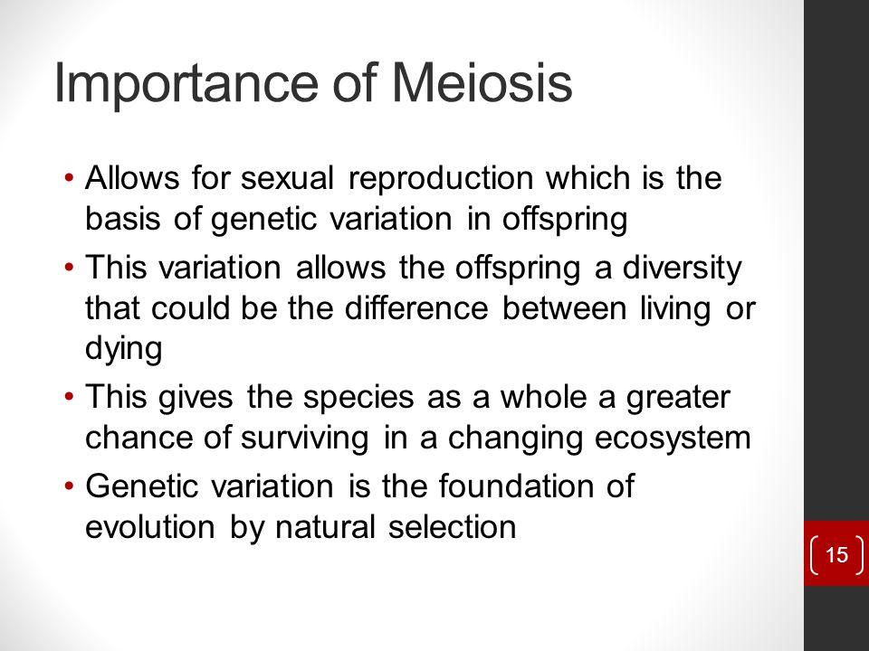 Importance of Meiosis Allows for sexual reproduction which is the basis of genetic variation in offspring.