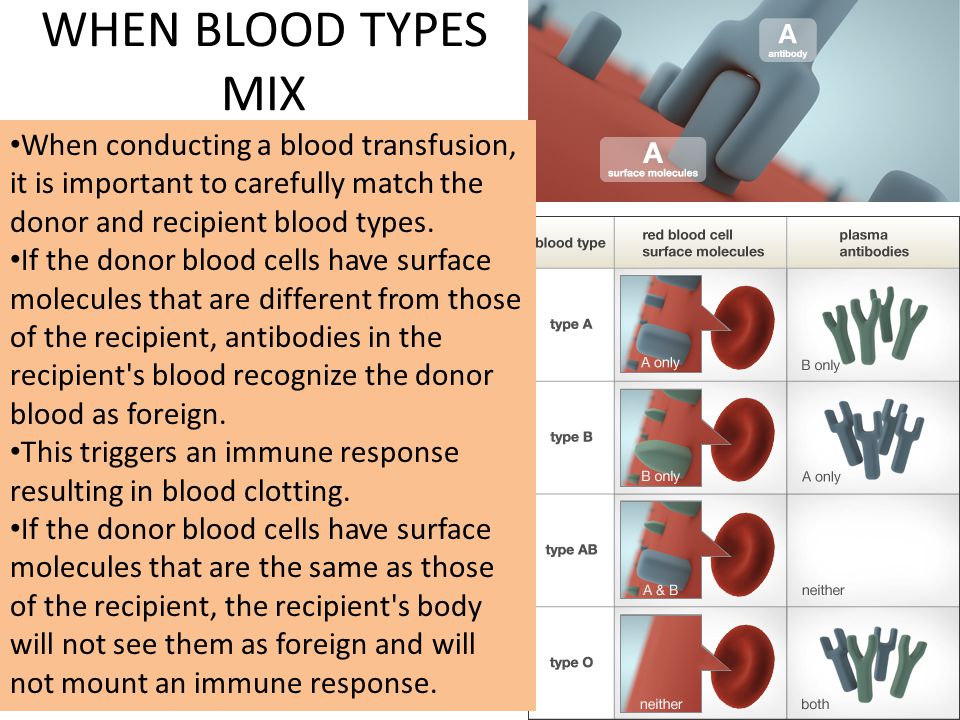 What blood types match