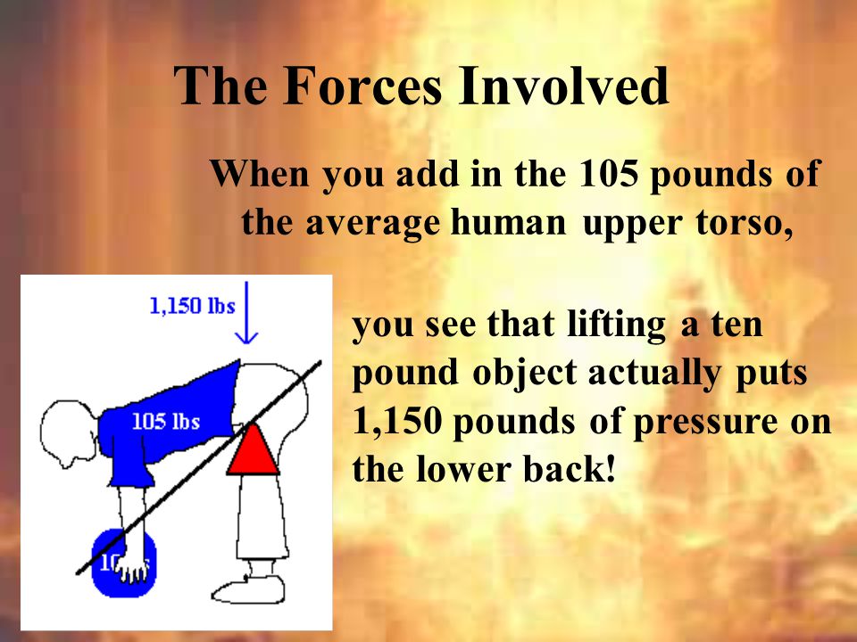 * 07/16/96. The Forces Involved. When you add in the 105 pounds of the average human upper torso,