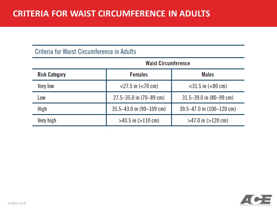 Acsm Waist Circumference Chart