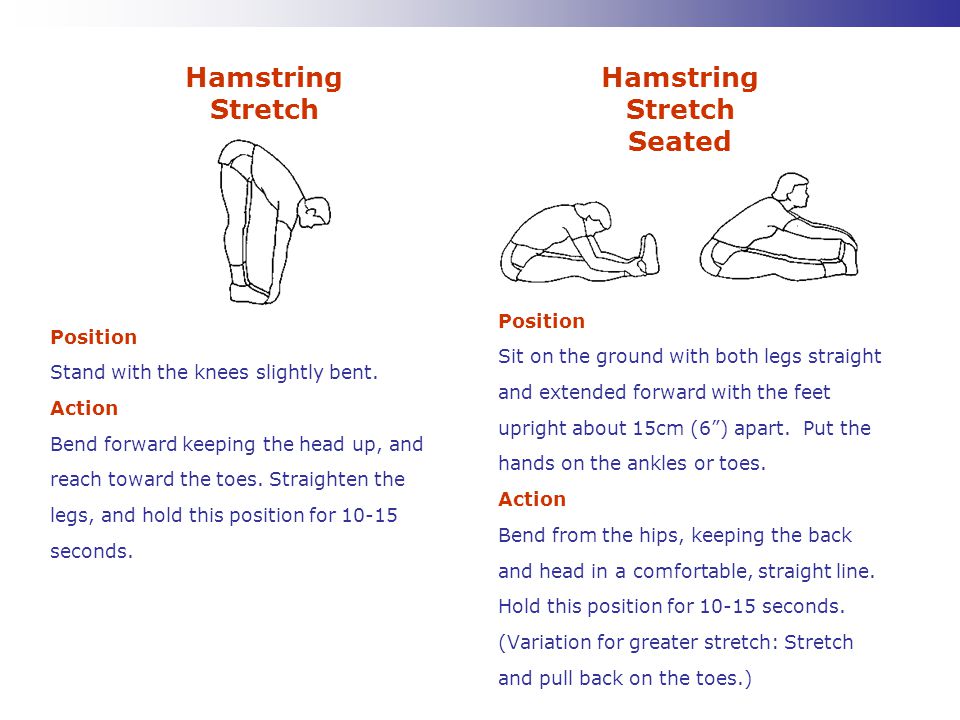 Hamstring Stretch Hamstring Stretch Seated