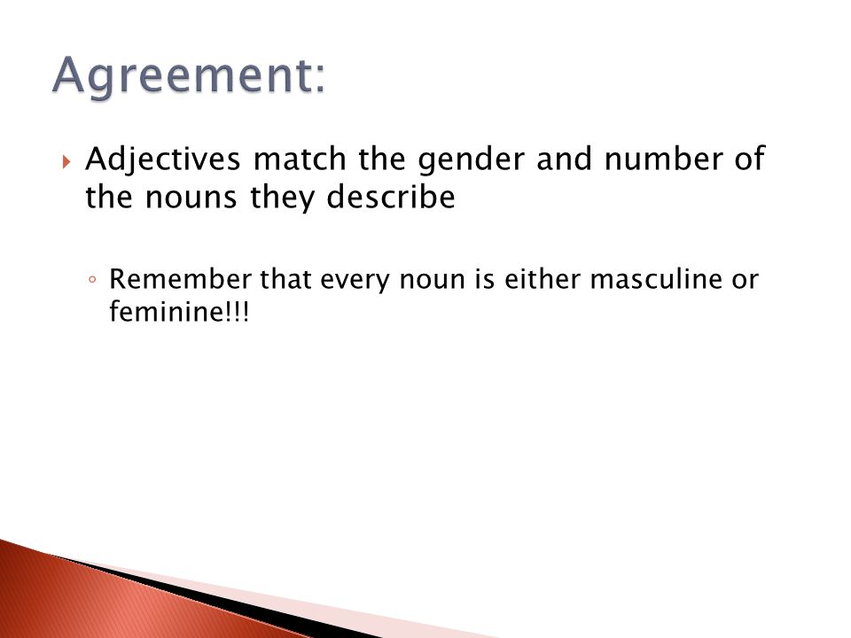 Agreement: Adjectives match the gender and number of the nouns they describe.