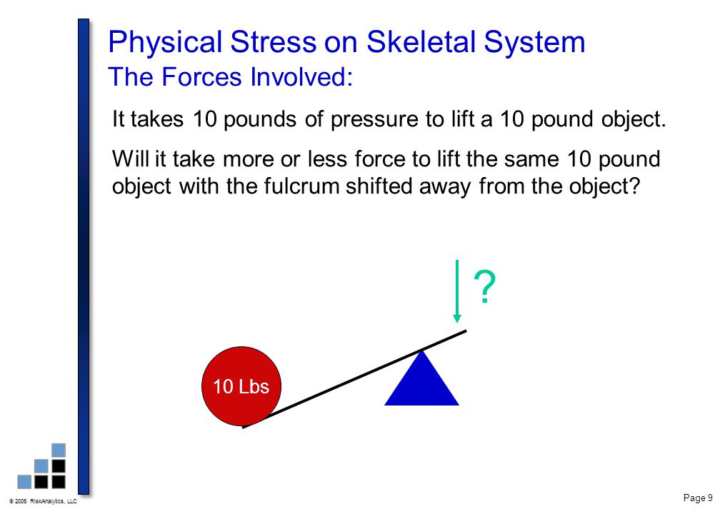 Physical Stress on Skeletal System The Forces Involved: