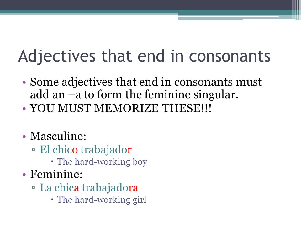 Adjectives that end in consonants