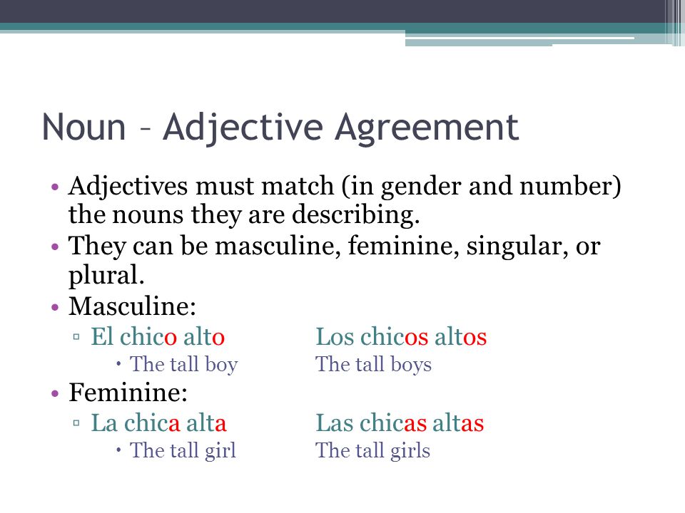 Noun – Adjective Agreement