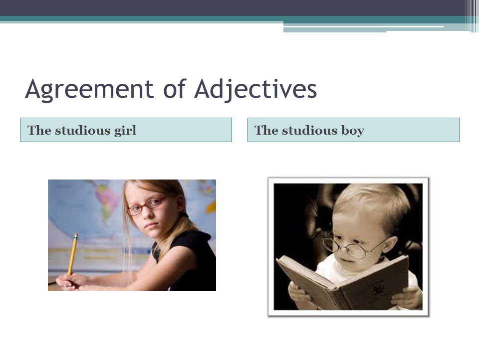 Agreement of Adjectives