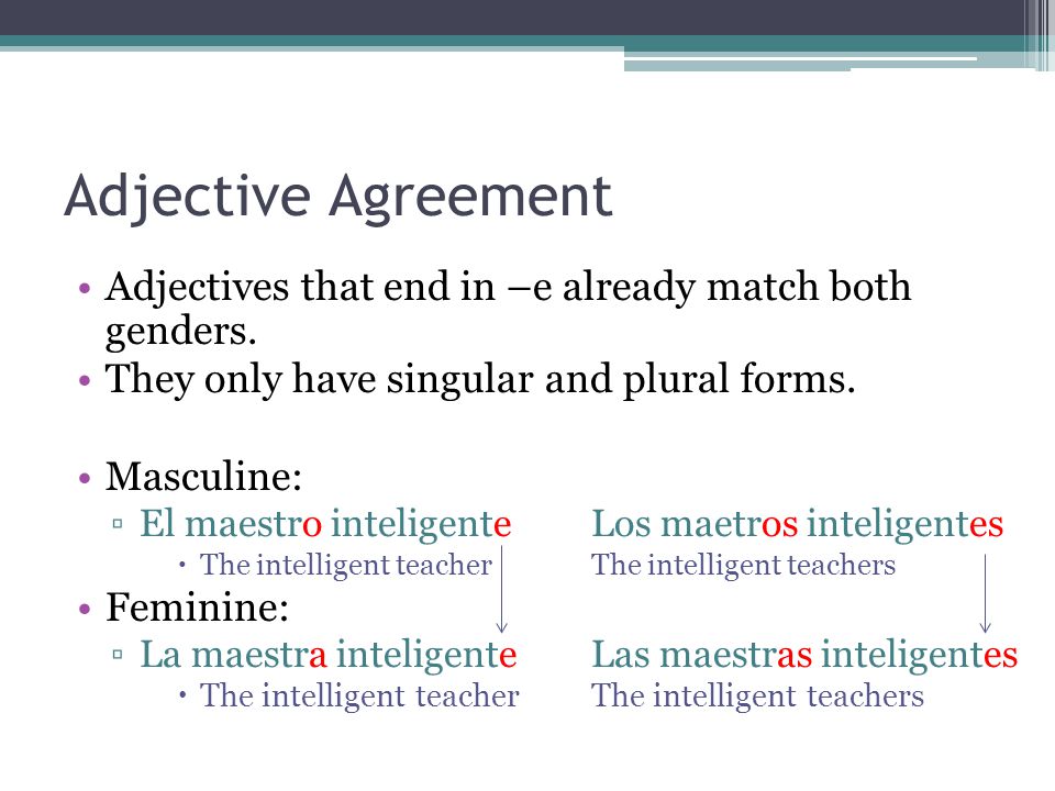 Adjective Agreement Adjectives that end in –e already match both genders. They only have singular and plural forms.