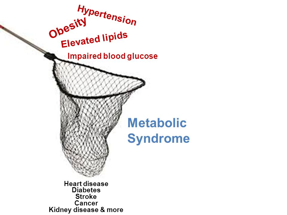 Metabolic Syndrome Obesity Hypertension Elevated lipids