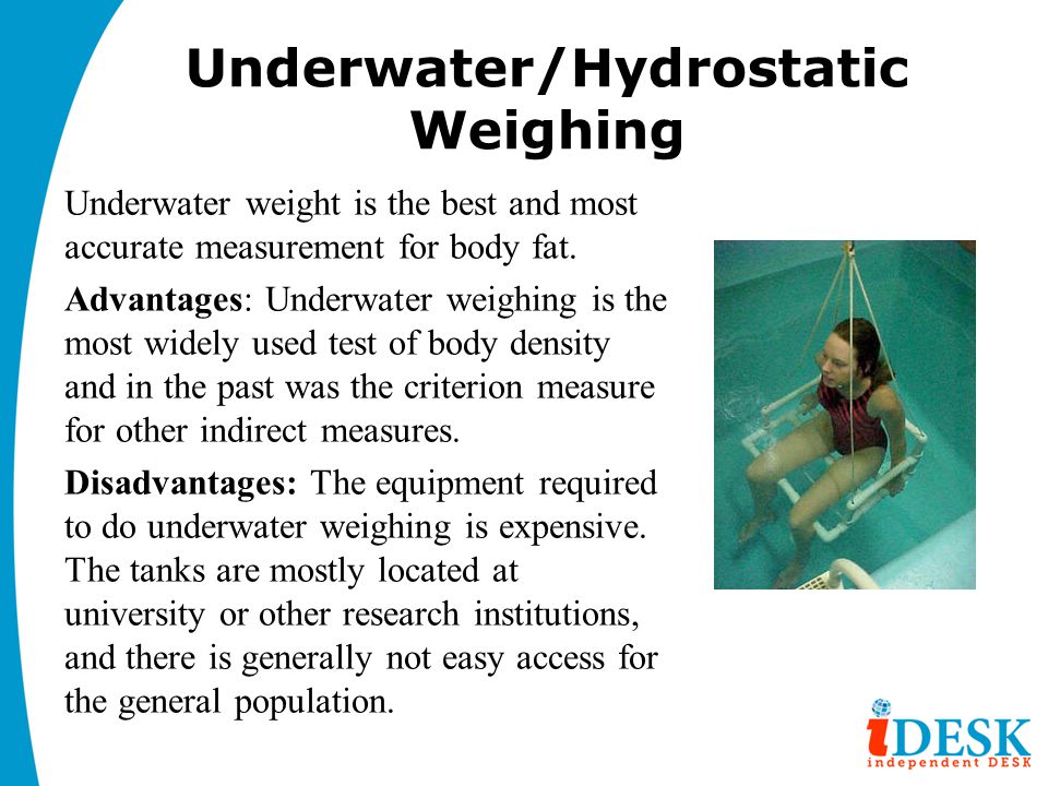 Body Composition And Weight Management Ppt Video Online