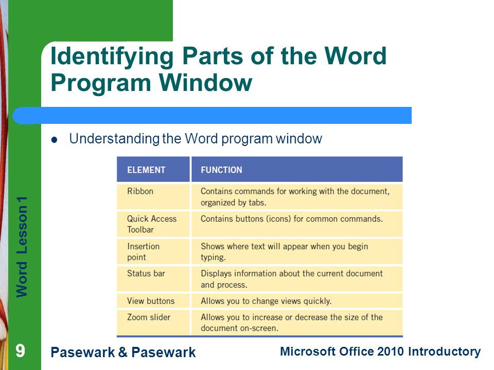 Identifying Parts of the Word Program Window