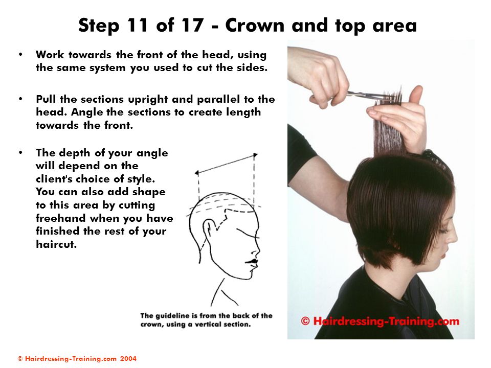 Female Haircuts Parallel Layers Ppt Video Online Download