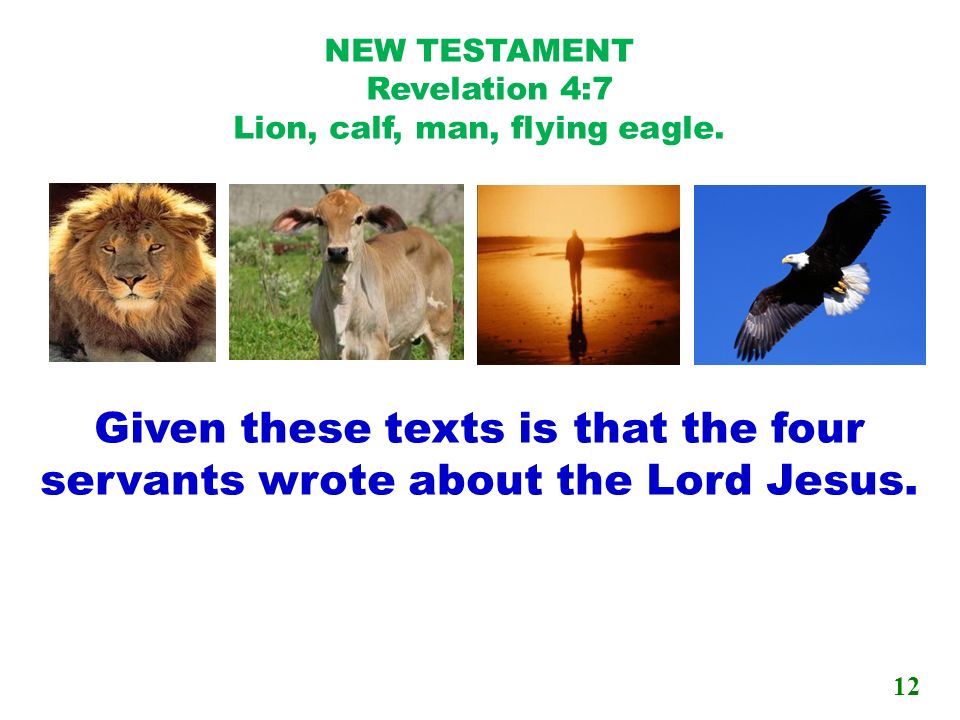 NEW TESTAMENT Revelation 4:7 Lion, calf, man, flying eagle.