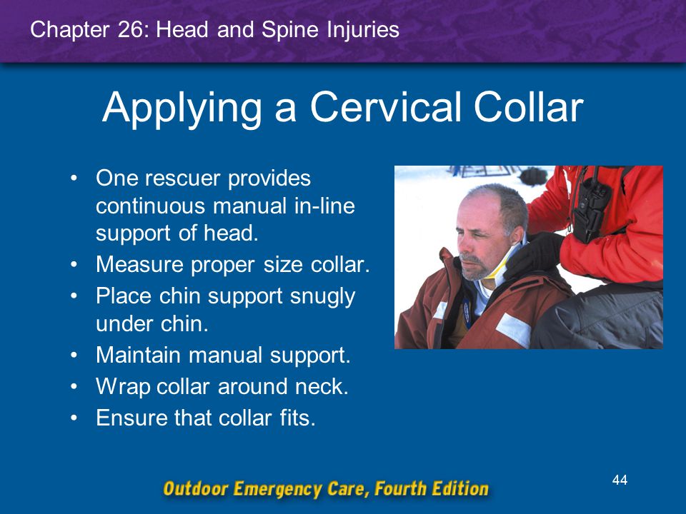 Head and Spine Injuries - ppt video online download