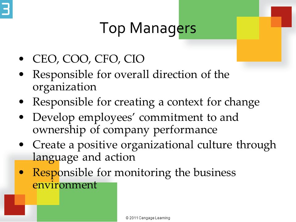 Top Managers CEO, COO, CFO, CIO