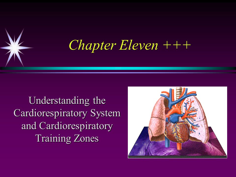 Chapter Eleven +++ Understanding the Cardiorespiratory System and Cardiorespiratory Training Zones