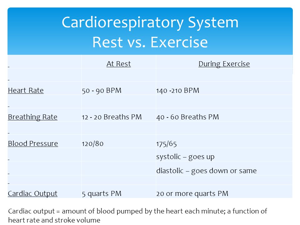 Cardiorespiratory System Rest vs. Exercise