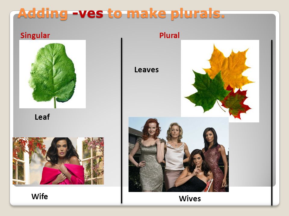 Adding -ves to make plurals.