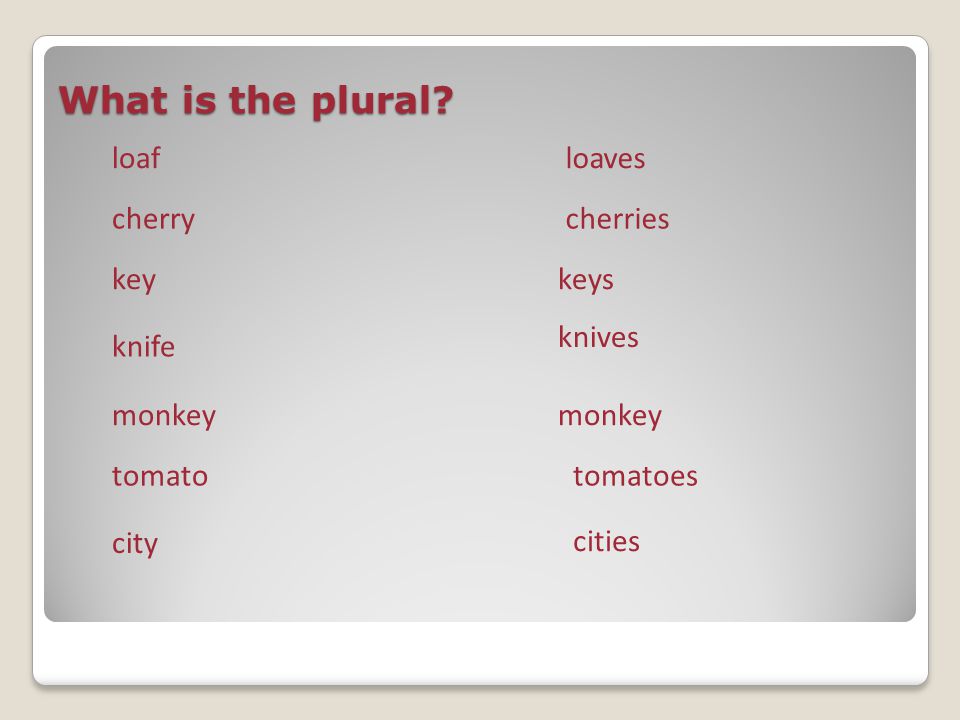What is the plural loaf loaves cherry cherries key keys knives knife