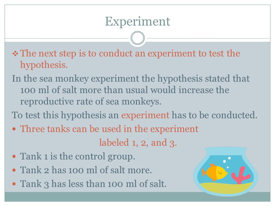 Experiment The next step is to conduct an experiment to test the hypothesis.